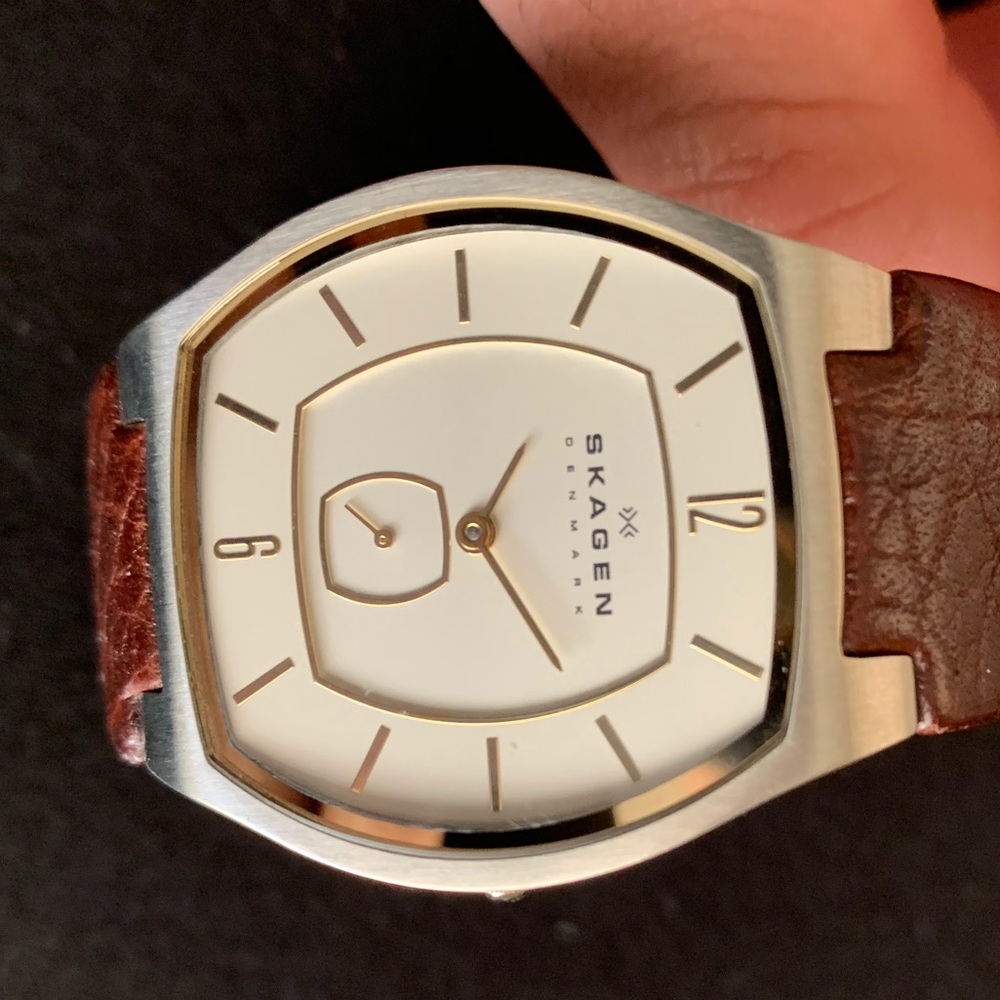 Skagen Men’s Watch